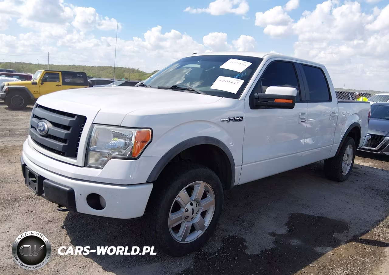 2010 Ford F-150 Fx4-Harley-Davidson-King Ranch-Lariat-Platinum-Xl-Xlt VIN:1FTFW1EV6AFC62073 - 6