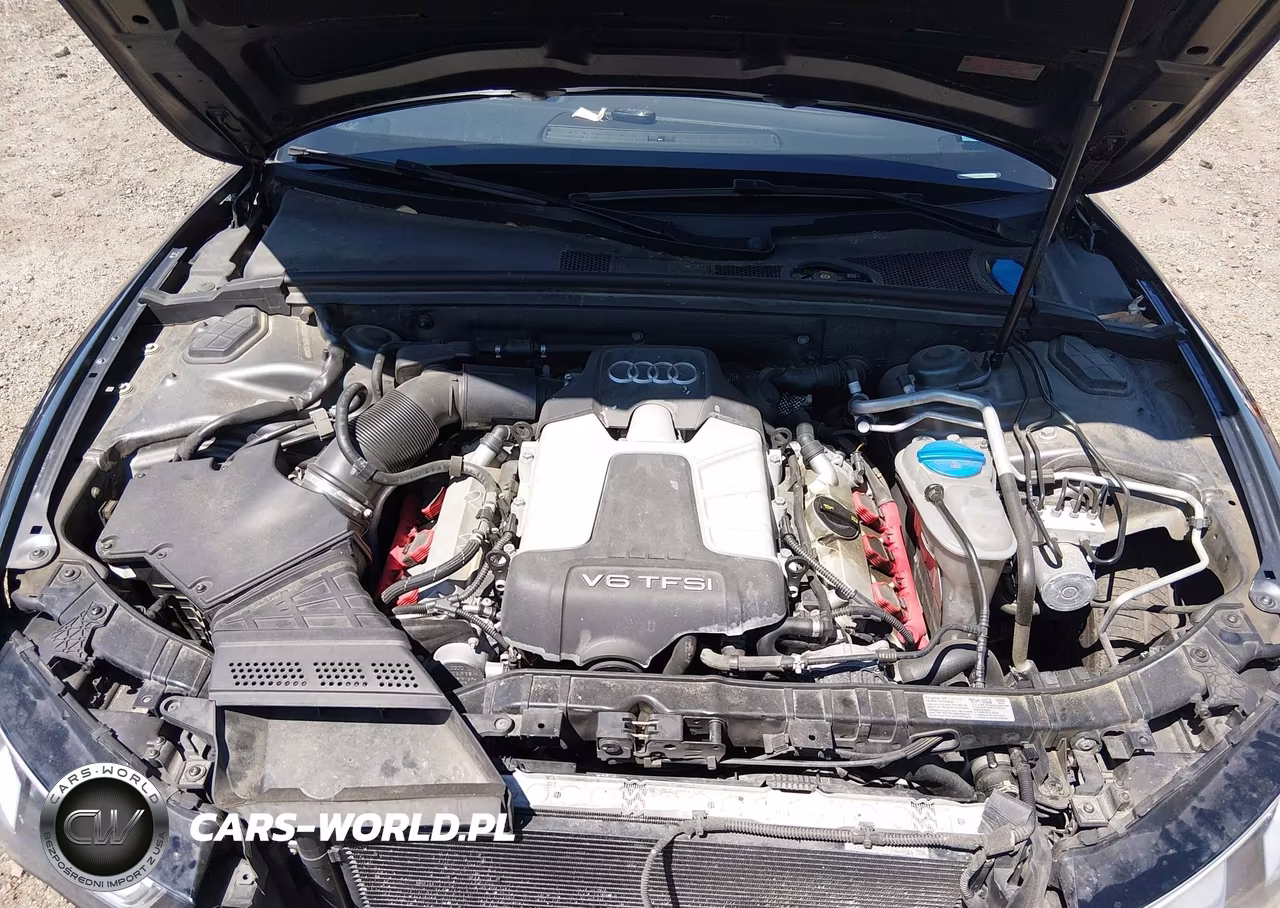 2015 Audi S5 3.0T Premium Plus VIN:WAUCGAFH2FN010968 - 10