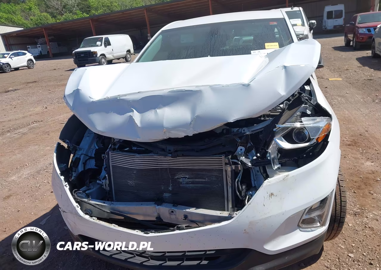 2019 Chevrolet Equinox Ls VIN:2GNAXHEV3K6303603 - 12