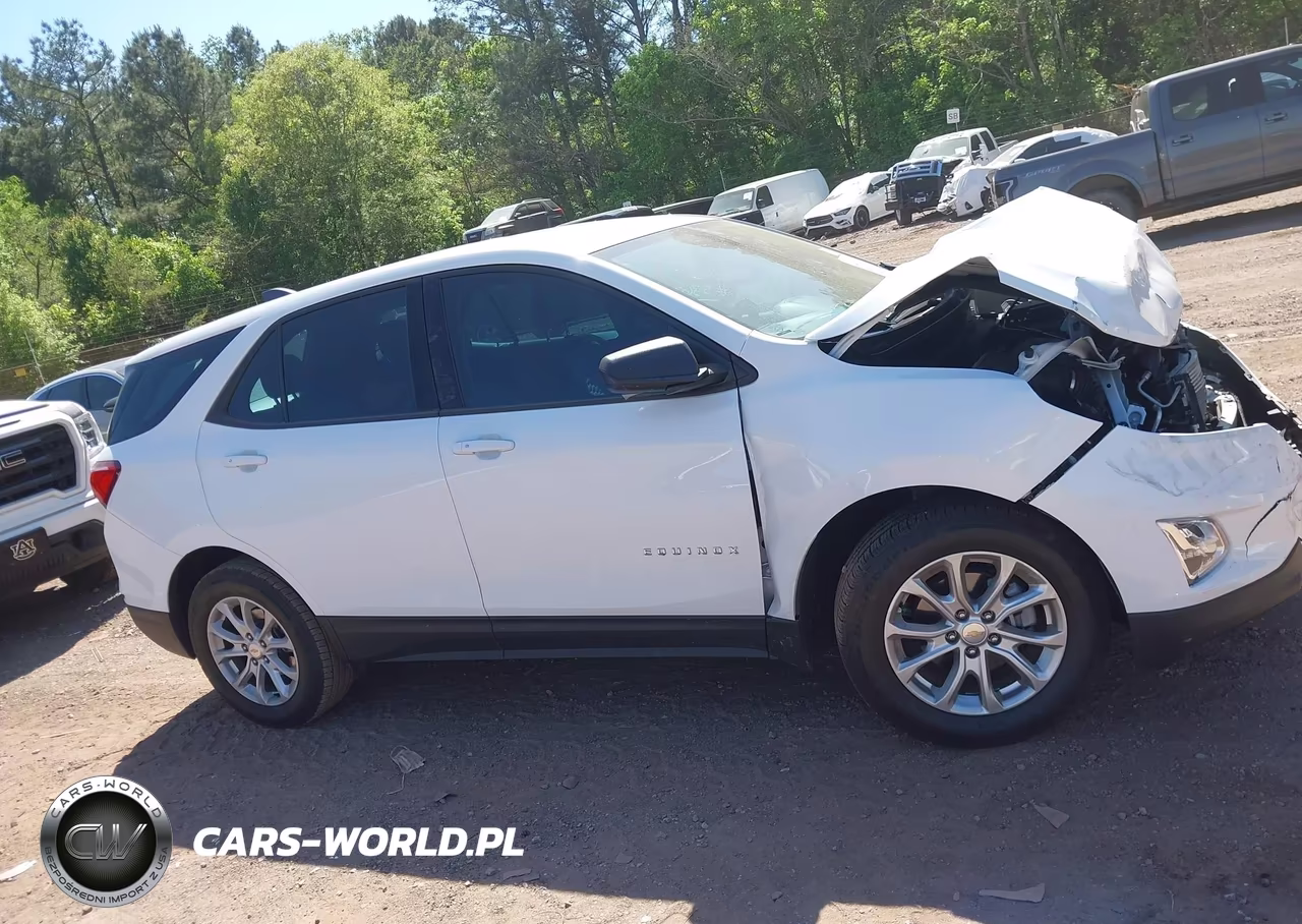 2019 Chevrolet Equinox Ls VIN:2GNAXHEV3K6303603 - 13