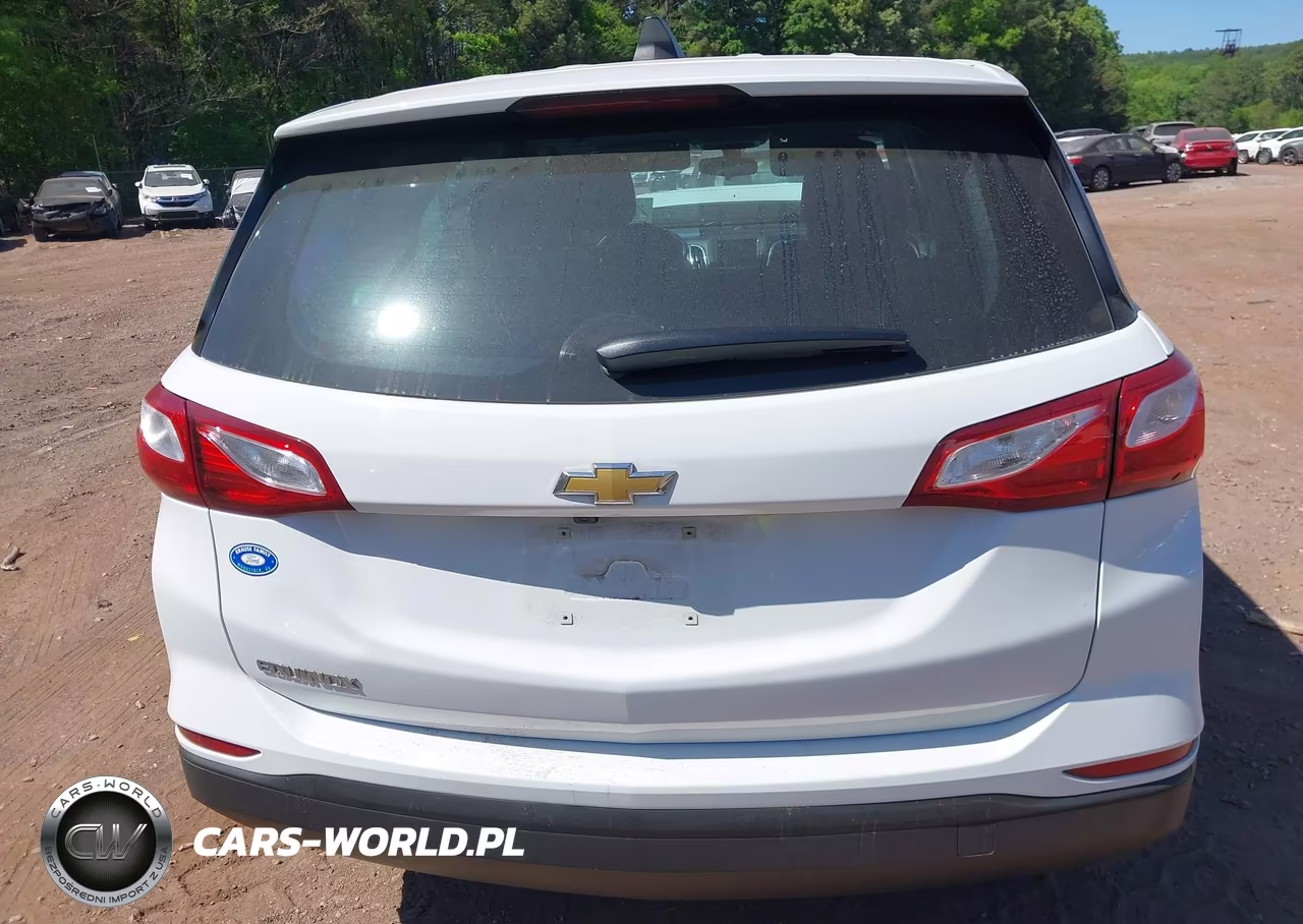 2019 Chevrolet Equinox Ls VIN:2GNAXHEV3K6303603 - 16