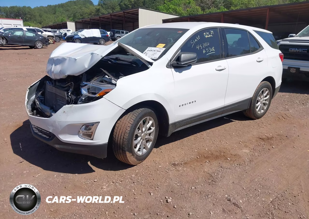 2019 Chevrolet Equinox Ls VIN:2GNAXHEV3K6303603 - 2