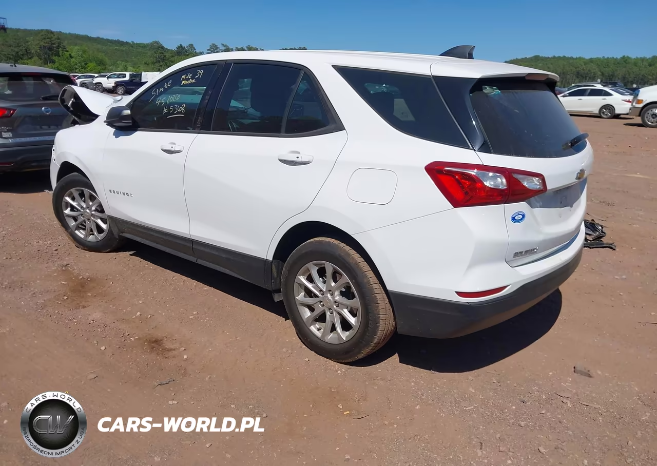 2019 Chevrolet Equinox Ls VIN:2GNAXHEV3K6303603 - 3