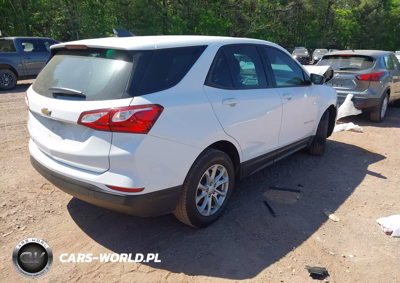 2019 Chevrolet Equinox Ls VIN:2GNAXHEV3K6303603 - 4