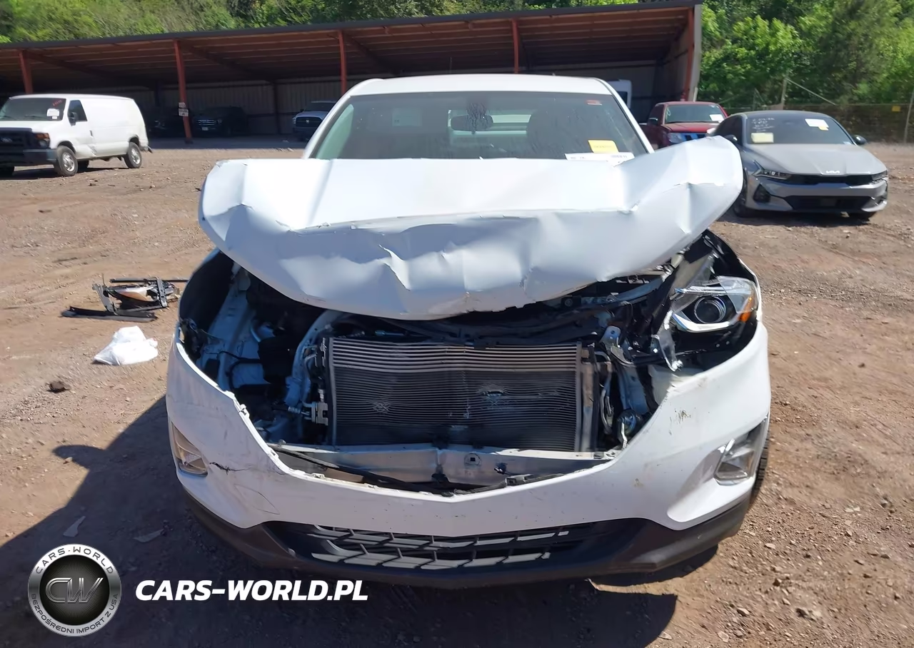 2019 Chevrolet Equinox Ls VIN:2GNAXHEV3K6303603 - 6