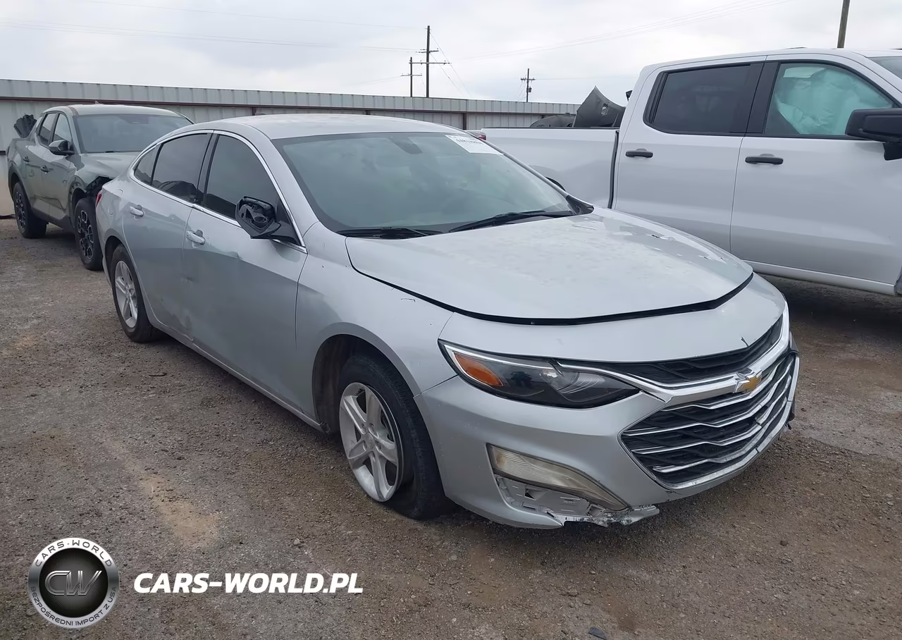 2019 Chevrolet Malibu 1Ls