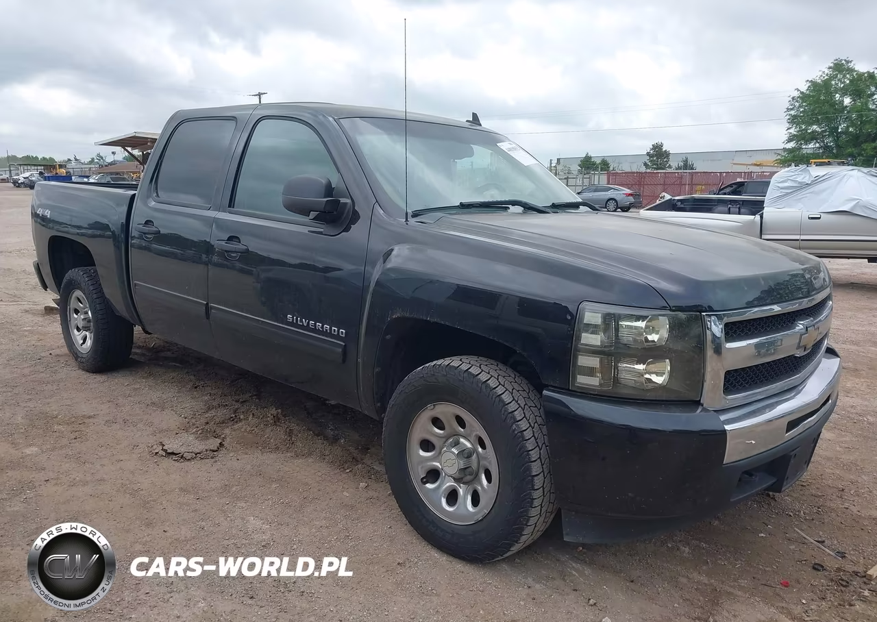 2010 Chevrolet Silverado 1500 Ls