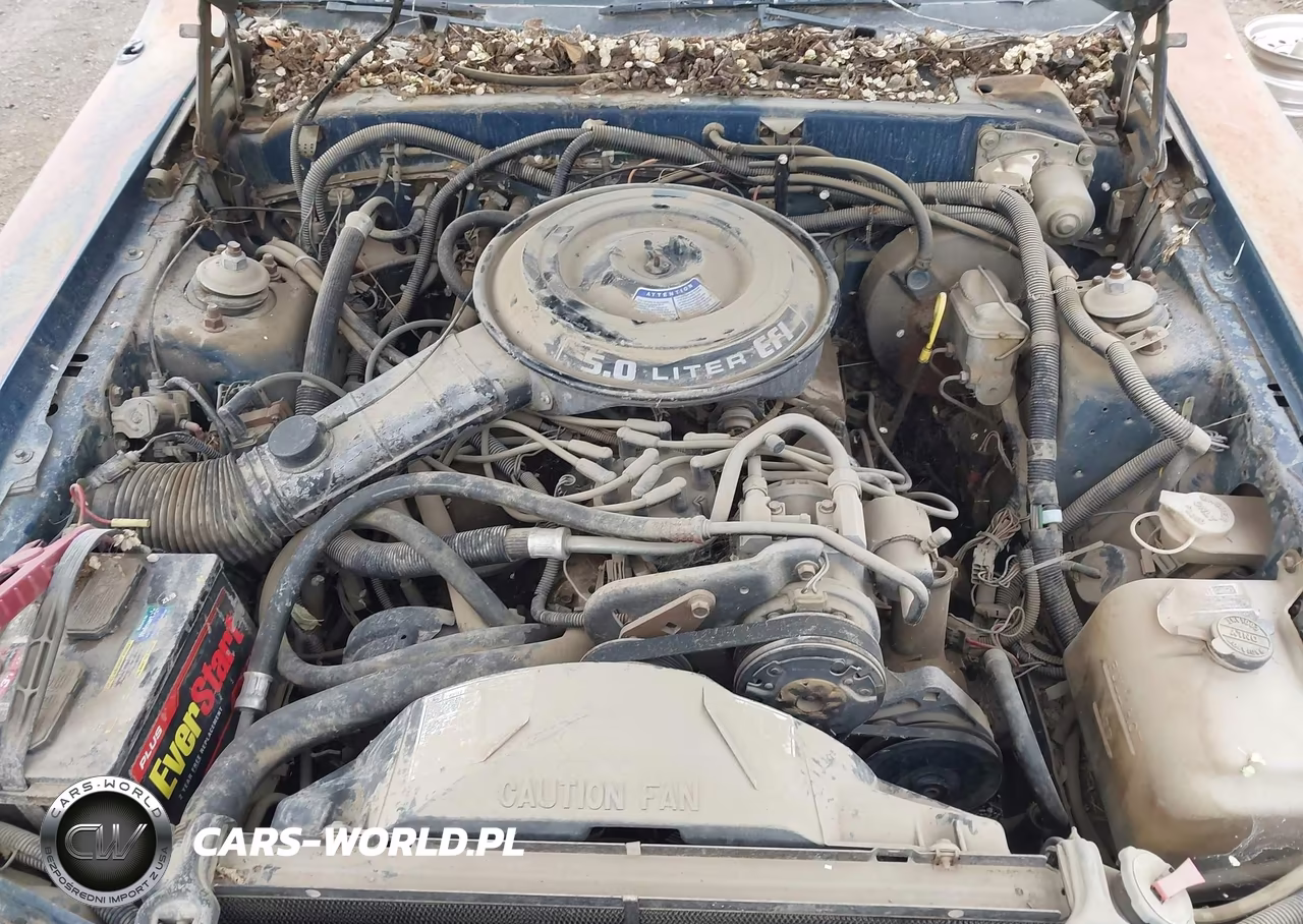 1985 Ford Thunderbird VIN:1FABP46F6FH116536 - 10