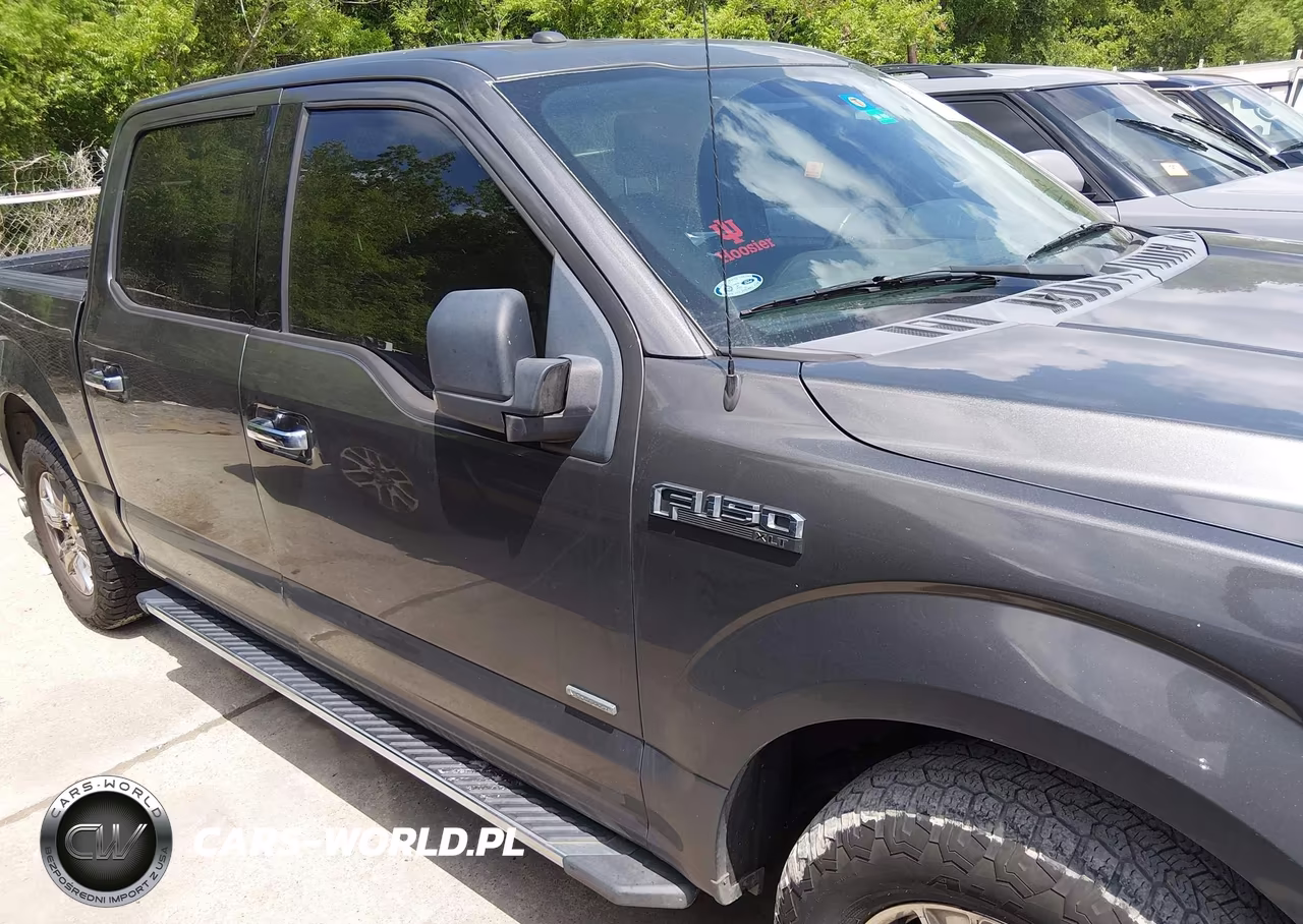 2016 Ford F-150 Xlt VIN:1FTEW1CP7GKD53207 - 13
