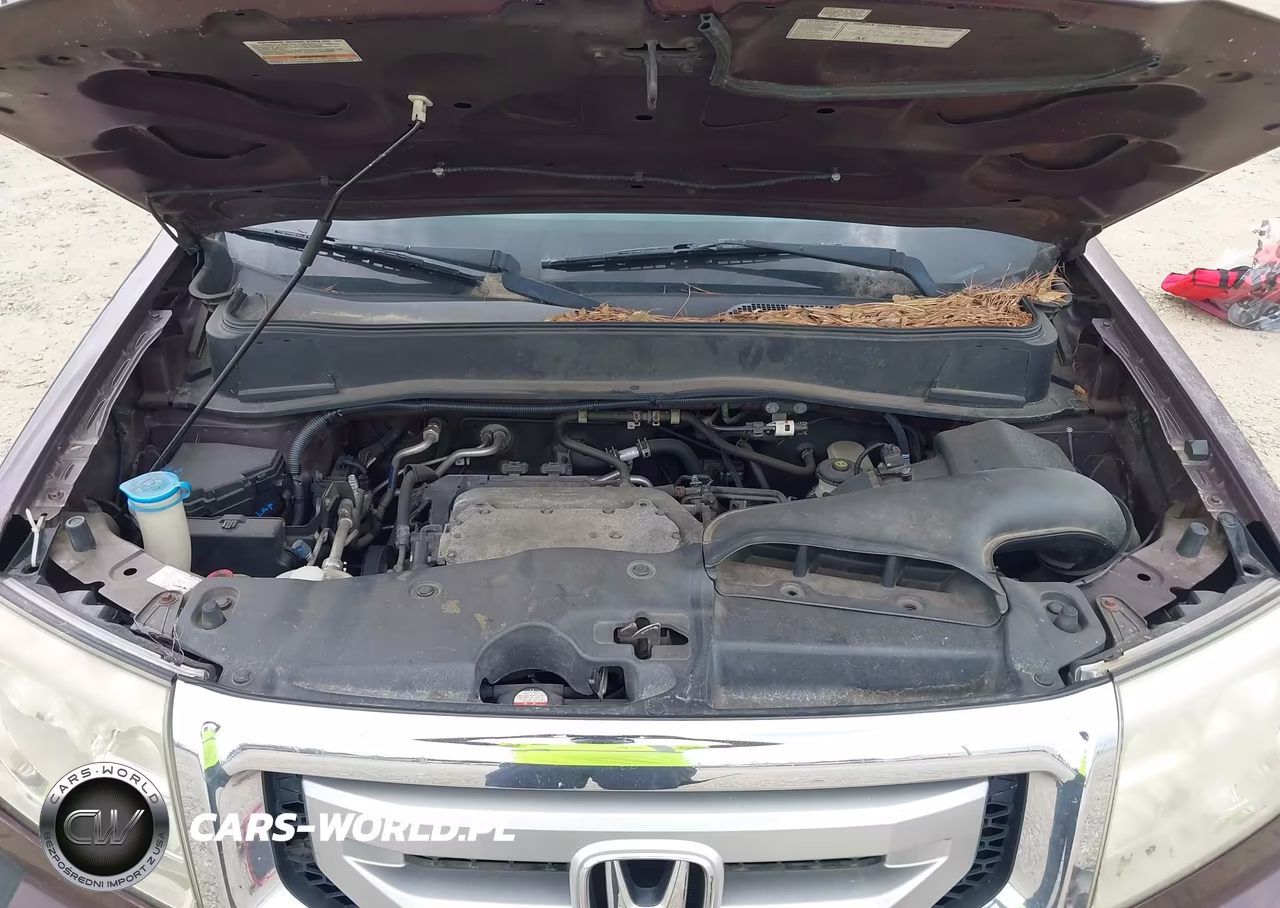 2009 Honda Pilot Ex VIN:5FNYF48449B025577 - 10