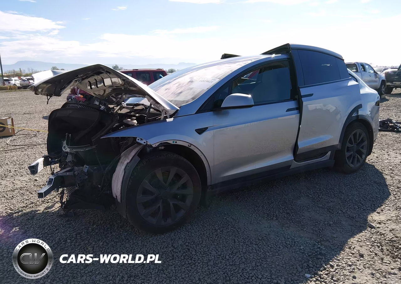 2025 Tesla Model X Long Range VIN:7SAXCDE56SF463608 - 2