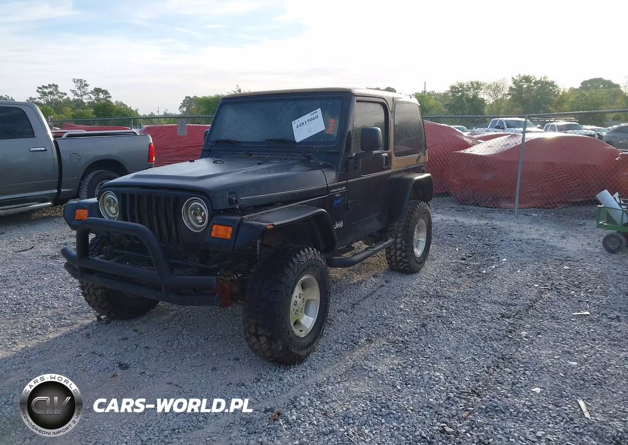 1998 Jeep Wrangler Sport VIN:1J4FY19S2WP784205 - 2