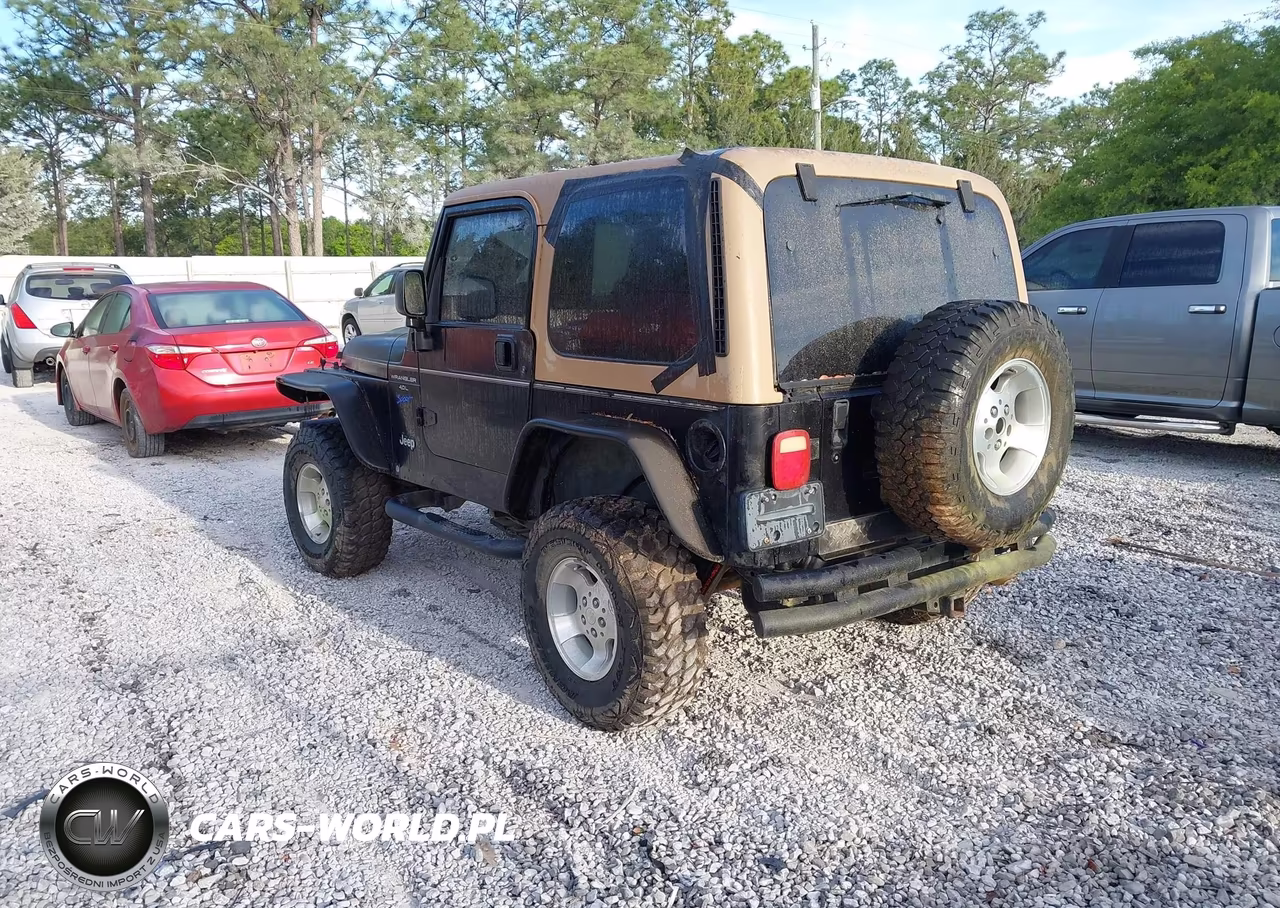 1998 Jeep Wrangler Sport VIN:1J4FY19S2WP784205 - 3