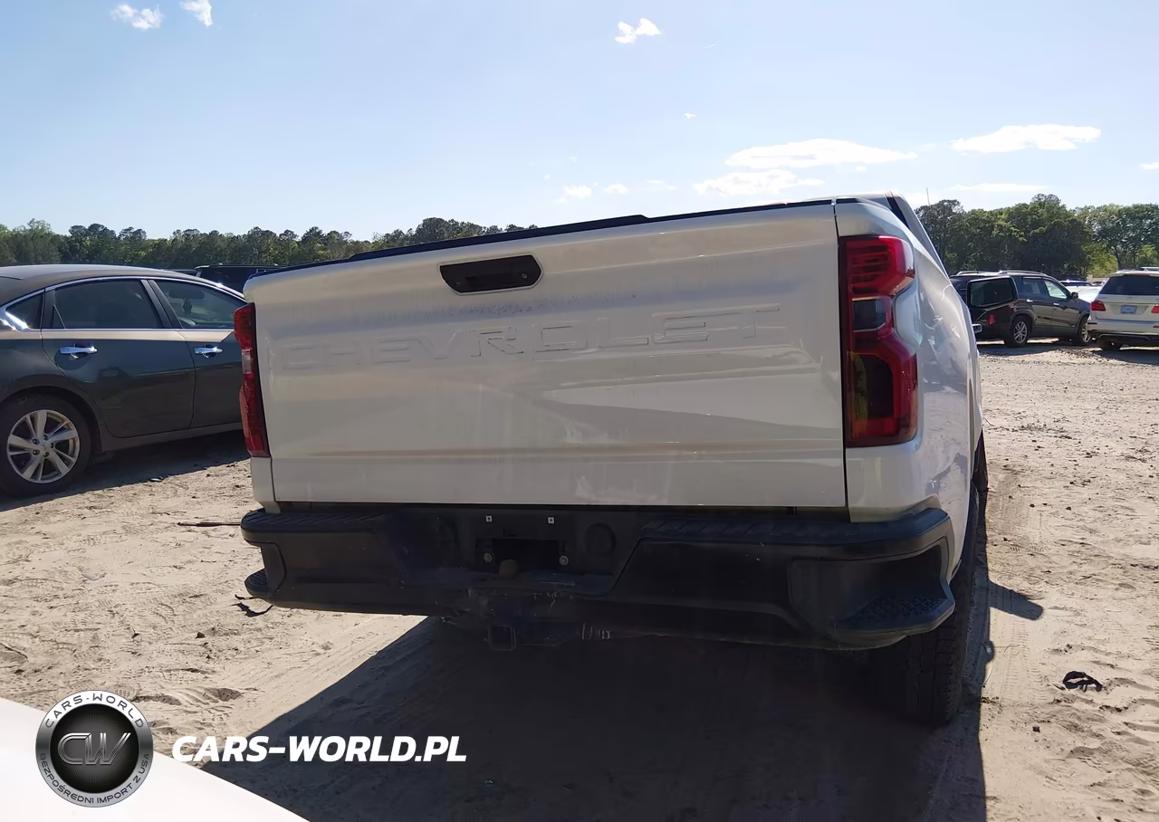 2019 Chevrolet Silverado 1500 Work Truck VIN:3GCNWAEH1KG289221 - 17