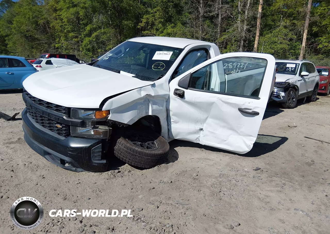 2019 Chevrolet Silverado 1500 Work Truck VIN:3GCNWAEH1KG289221 - 2
