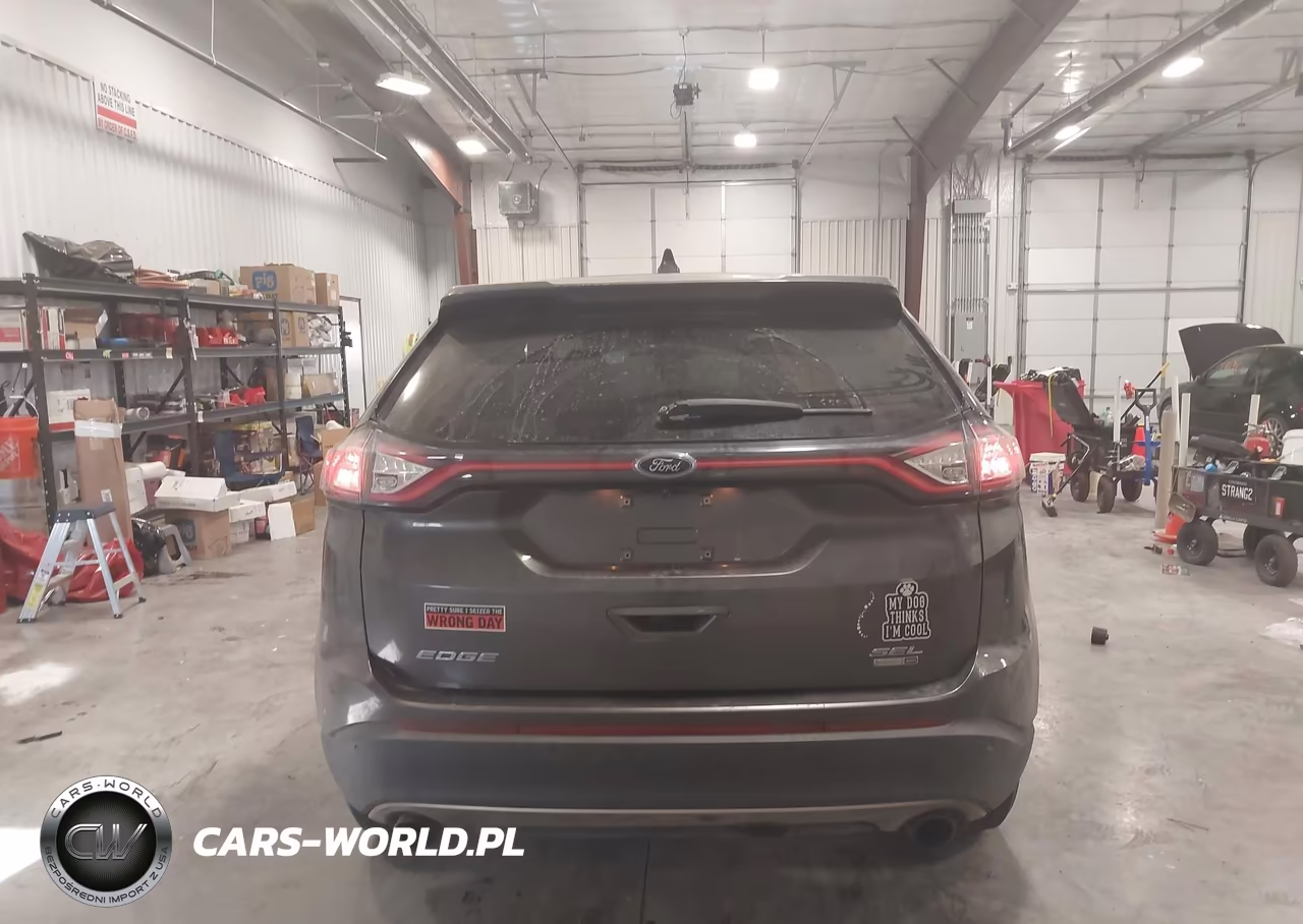 2016 Ford Edge Sel VIN:2FMPK4J91GBC05781 - 17