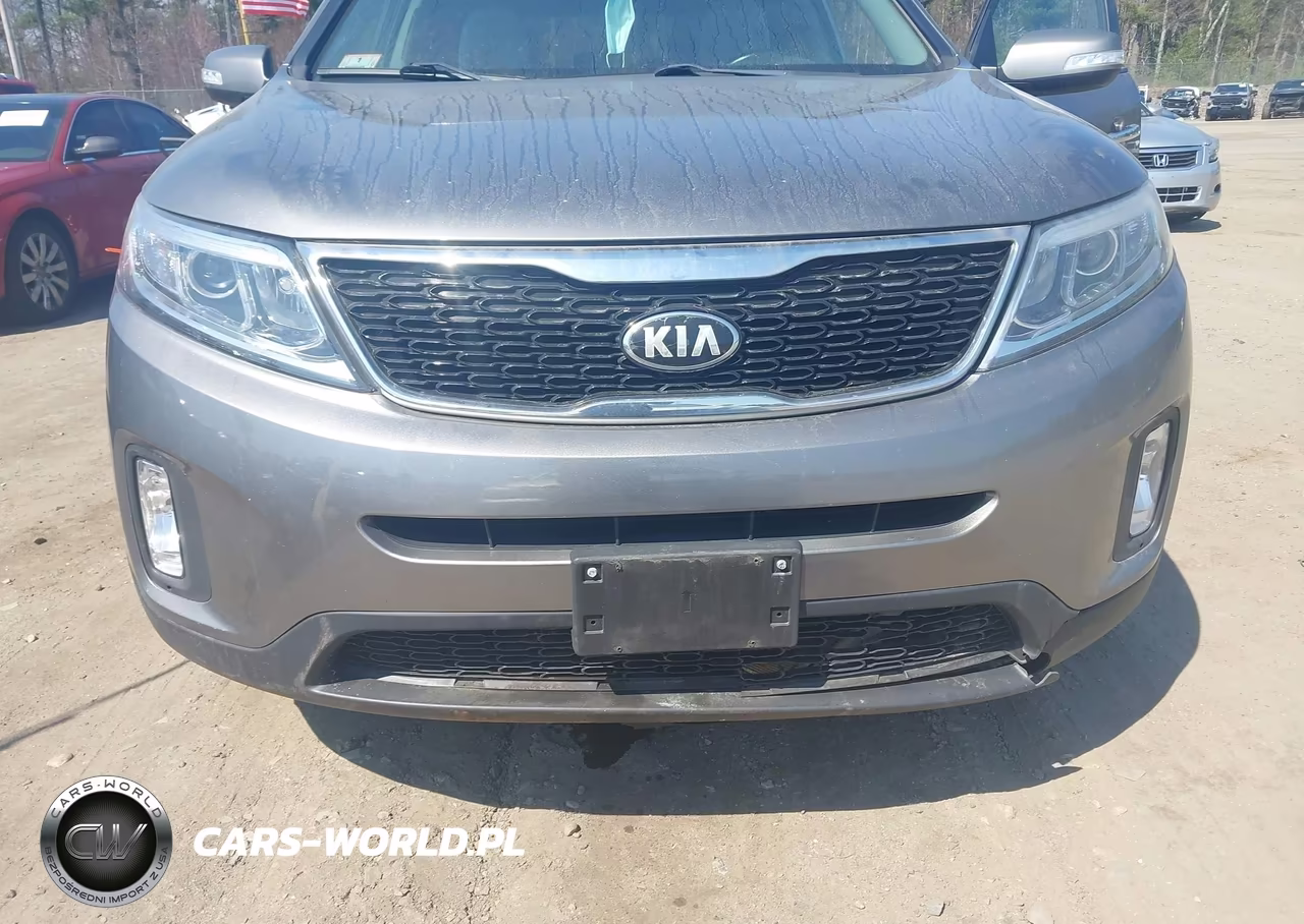 2015 Kia Sorento Lx VIN:5XYKTDA65FG554700 - 13