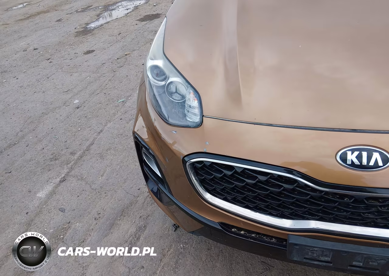 2020 Kia Sportage Lx VIN:KNDPMCAC2L7825630 - 17