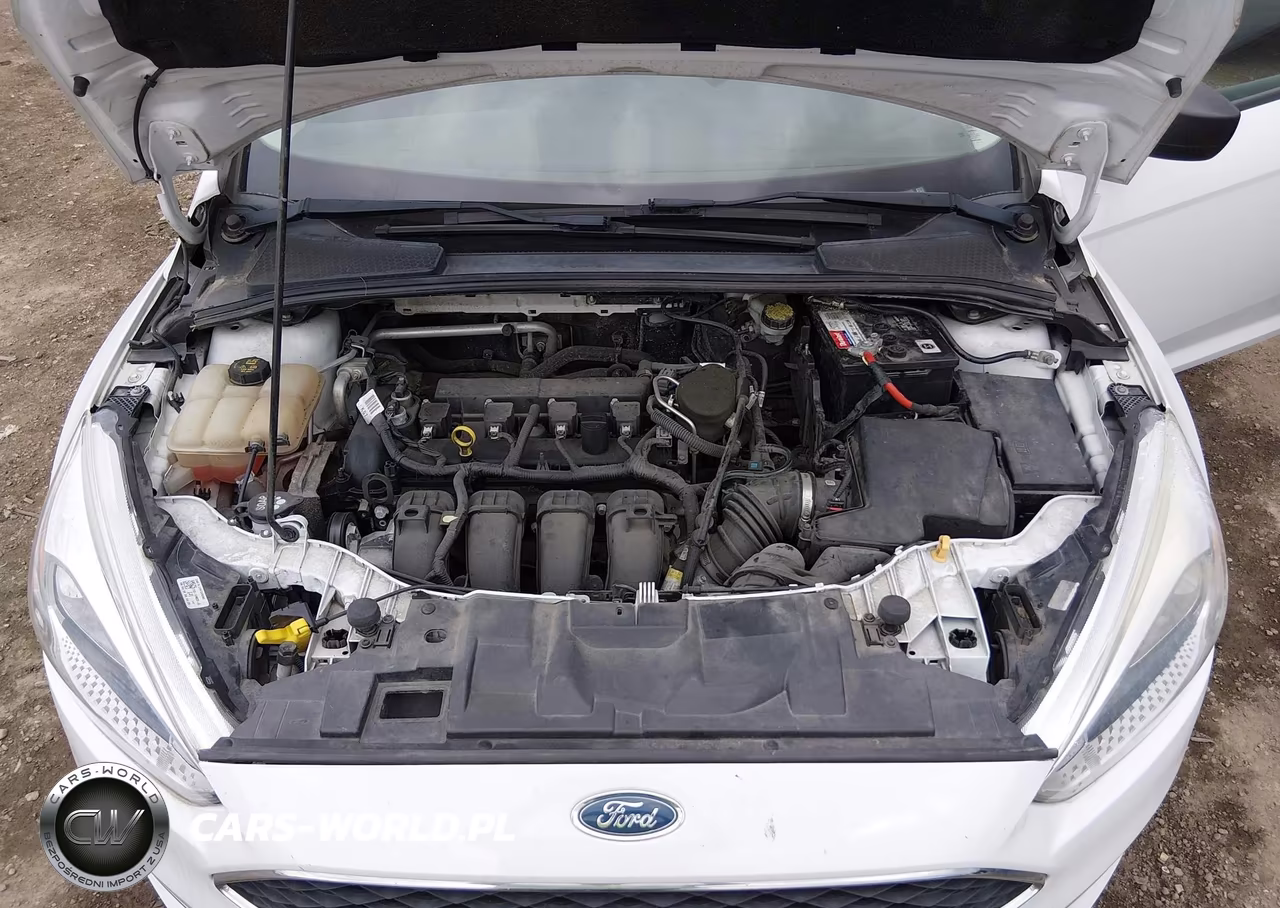 2016 Ford Focus S VIN:1FADP3E22GL207125 - 10