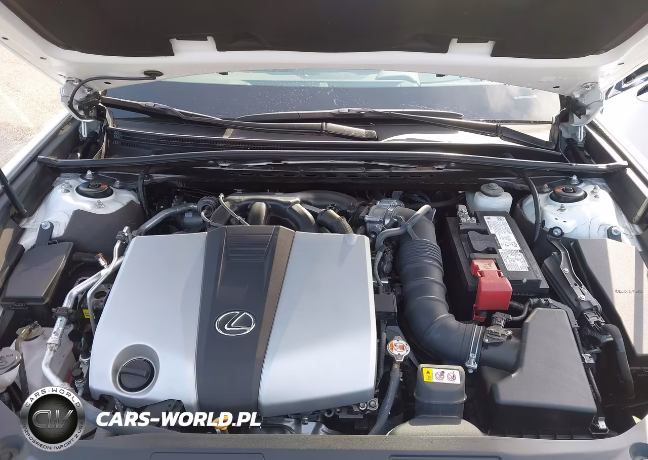 2024 Lexus Es 350 VIN:58ADZ1B13RU182032 - 10