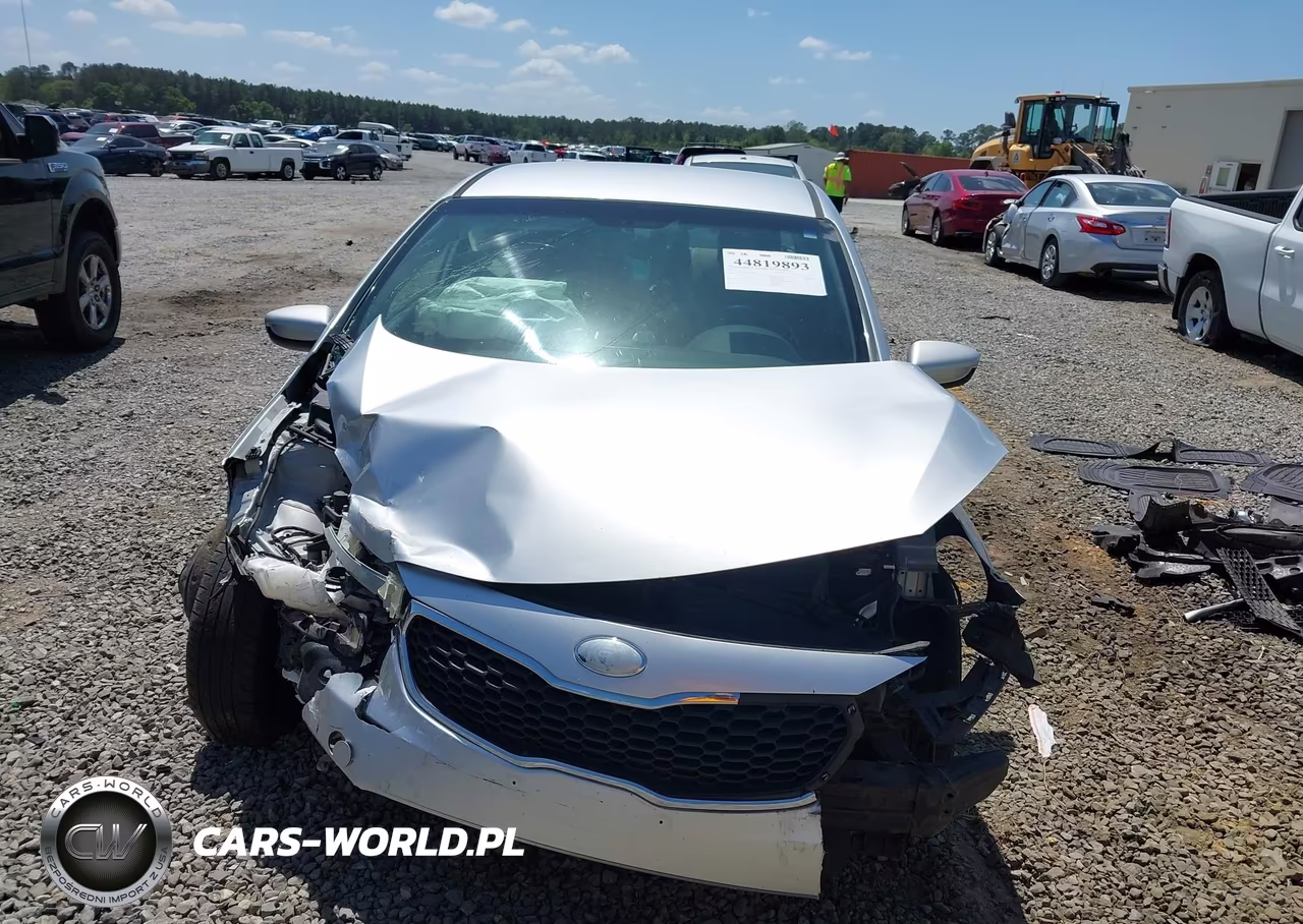 2014 Kia Forte Lx VIN:KNAFK4A66E5098246 - 13