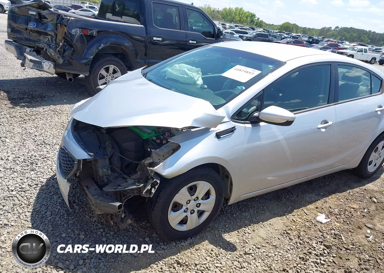 2014 Kia Forte Lx VIN:KNAFK4A66E5098246 - 6