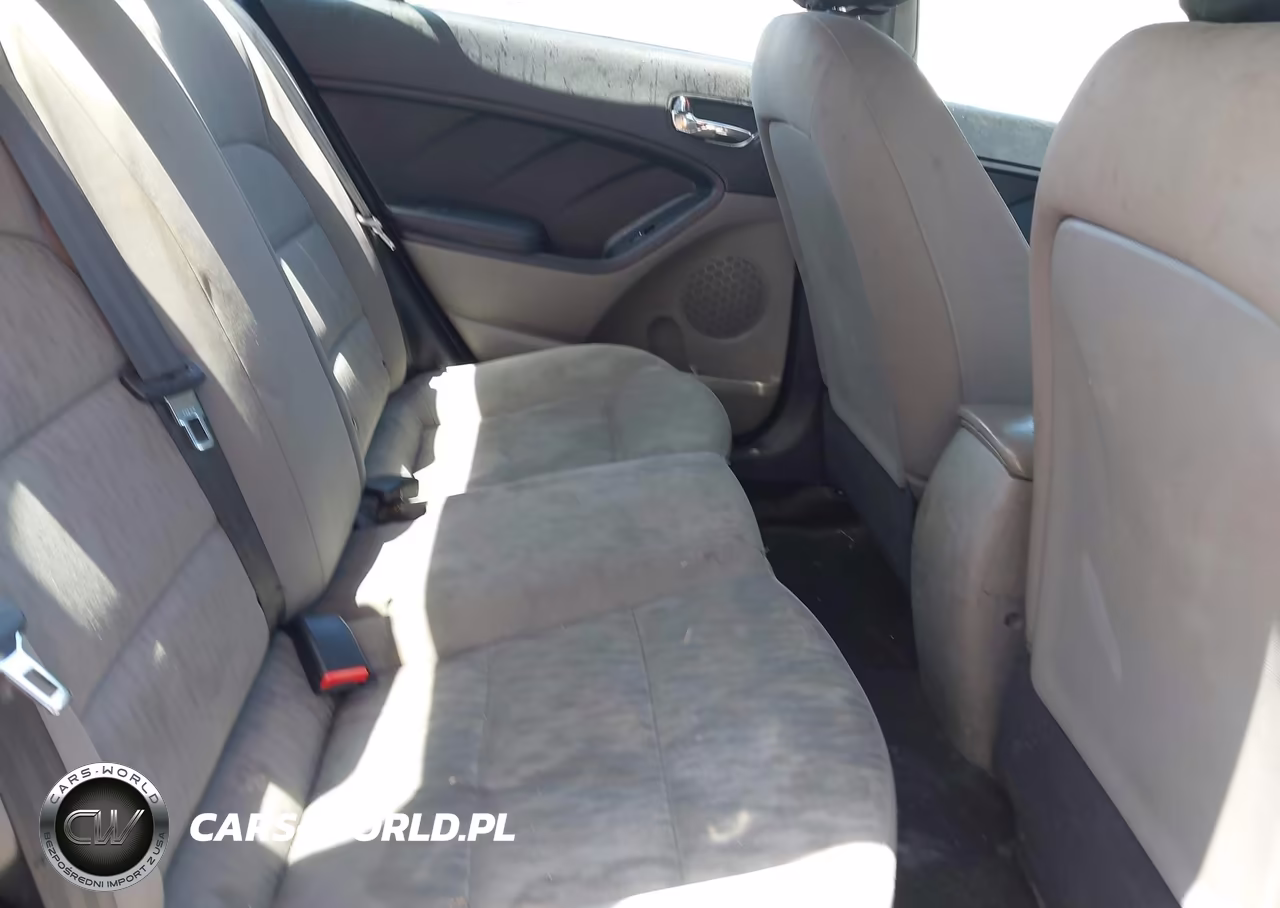 2014 Kia Forte Lx VIN:KNAFK4A66E5098246 - 8