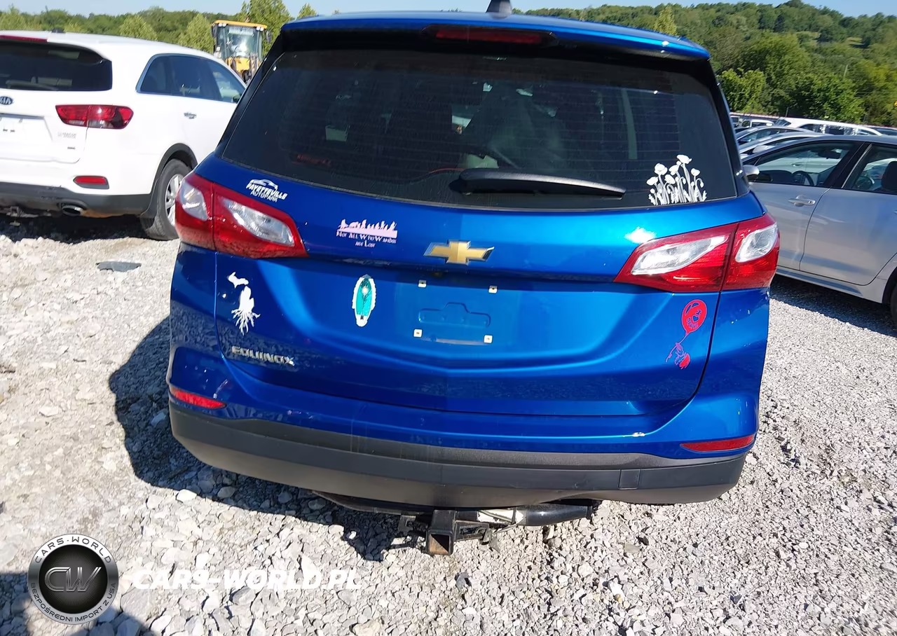 2019 Chevrolet Equinox Ls VIN:3GNAXHEV4KS553420 - 17