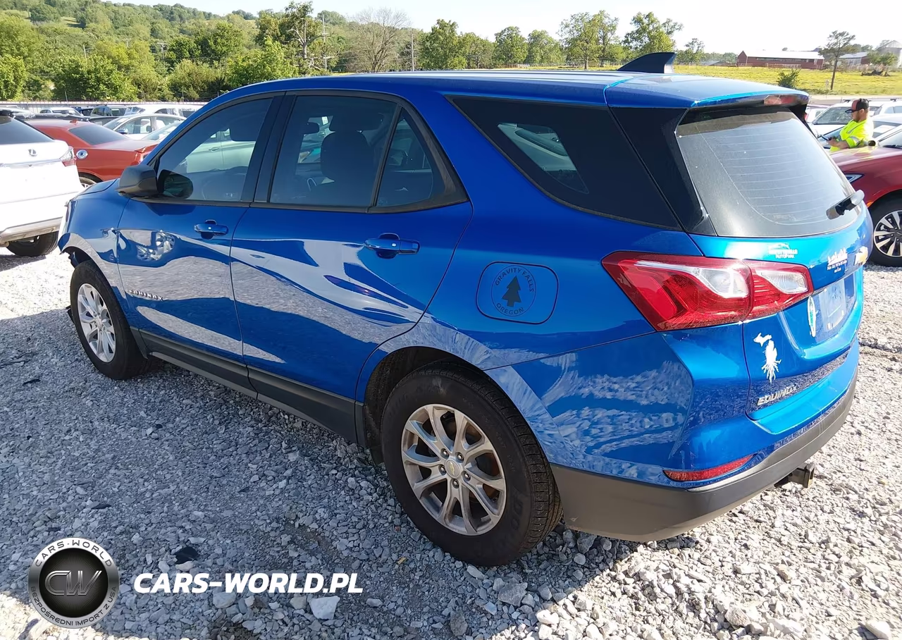 2019 Chevrolet Equinox Ls VIN:3GNAXHEV4KS553420 - 3