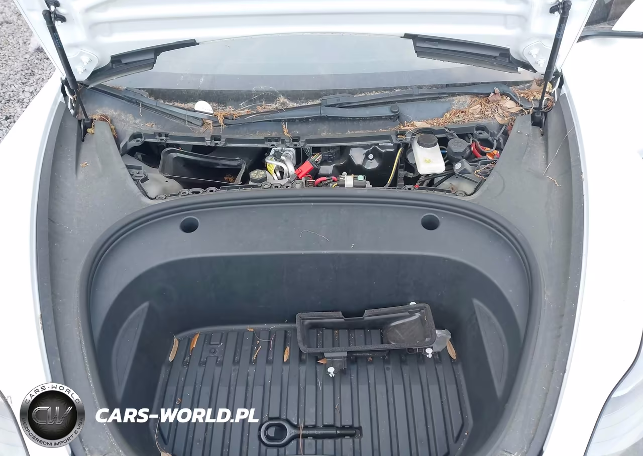 2023 Tesla Model 3 Rear-Wheel Drive VIN:5YJ3E1EA0PF483474 - 10