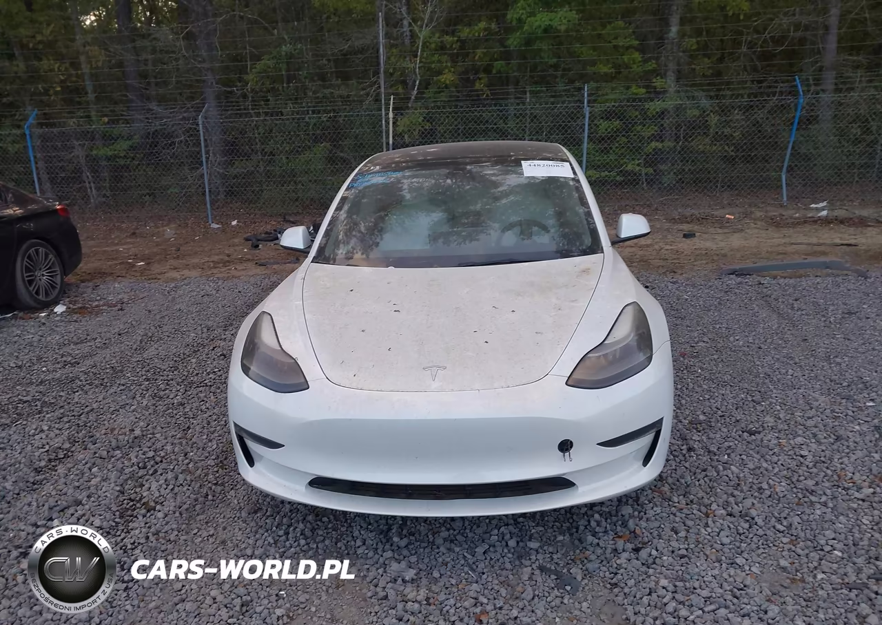 2023 Tesla Model 3 Rear-Wheel Drive VIN:5YJ3E1EA0PF483474 - 12