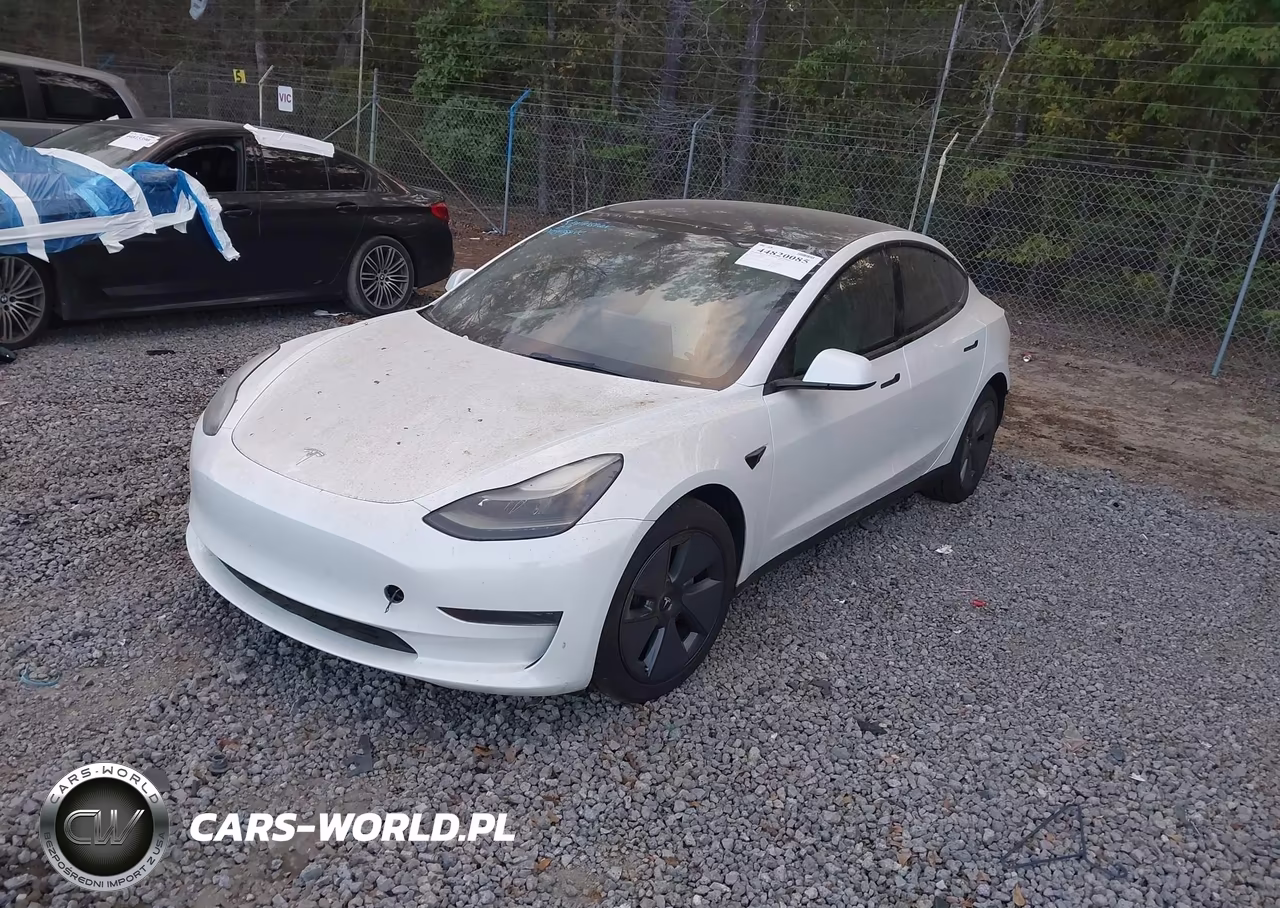 2023 Tesla Model 3 Rear-Wheel Drive VIN:5YJ3E1EA0PF483474 - 2