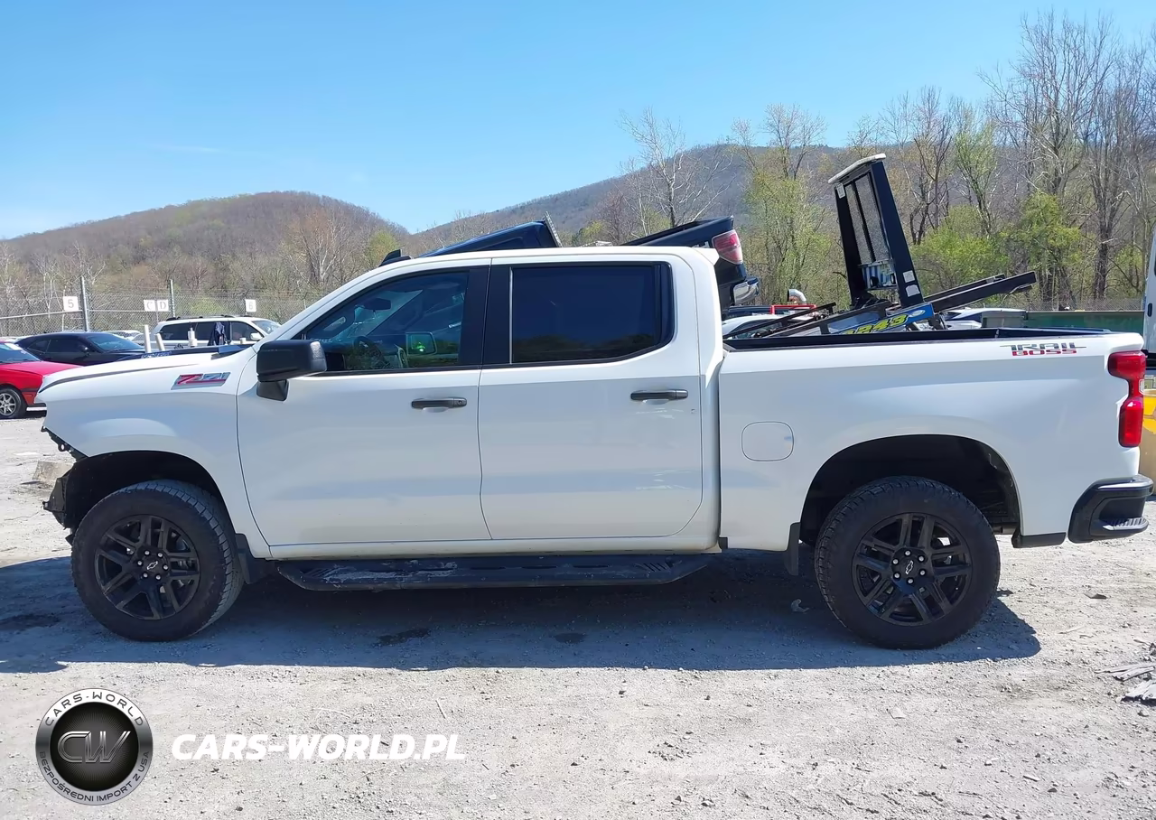 2022 Chevrolet Silverado 1500 4Wd Short Bed Custom Trail Boss VIN:3GCUDCET1NG651831 - 15