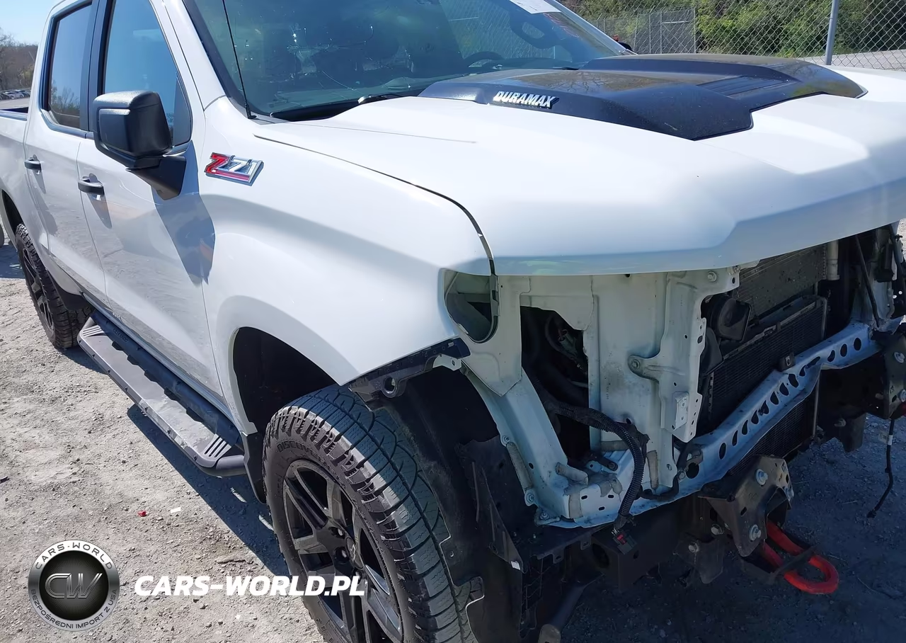 2022 Chevrolet Silverado 1500 4Wd Short Bed Custom Trail Boss VIN:3GCUDCET1NG651831 - 19