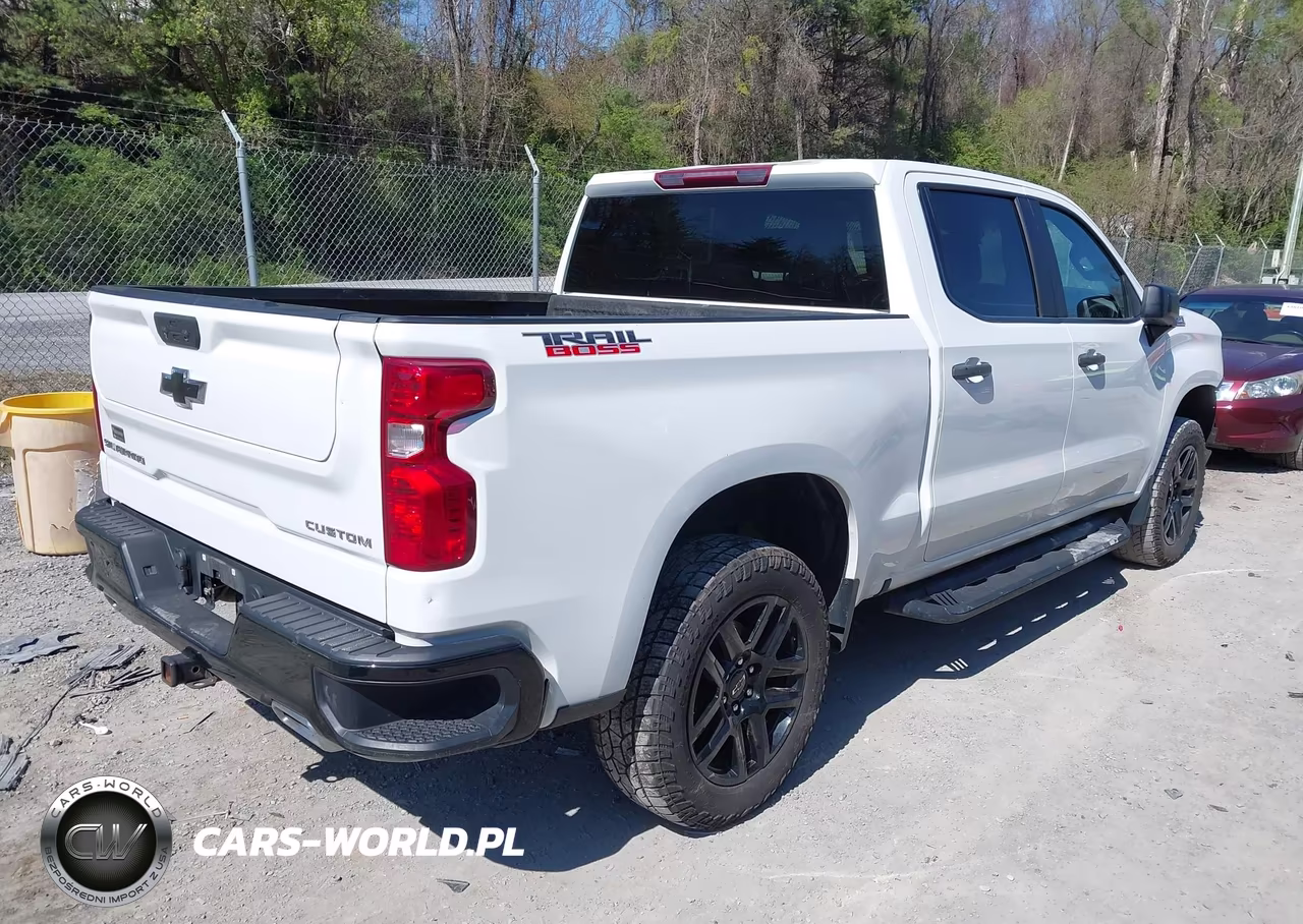 2022 Chevrolet Silverado 1500 4Wd Short Bed Custom Trail Boss VIN:3GCUDCET1NG651831 - 4