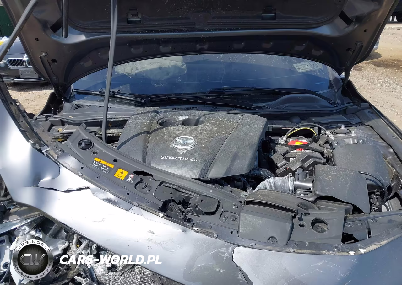 2019 Mazda Mazda3 Preferred Package VIN:JM1BPBDMXK1132189 - 10