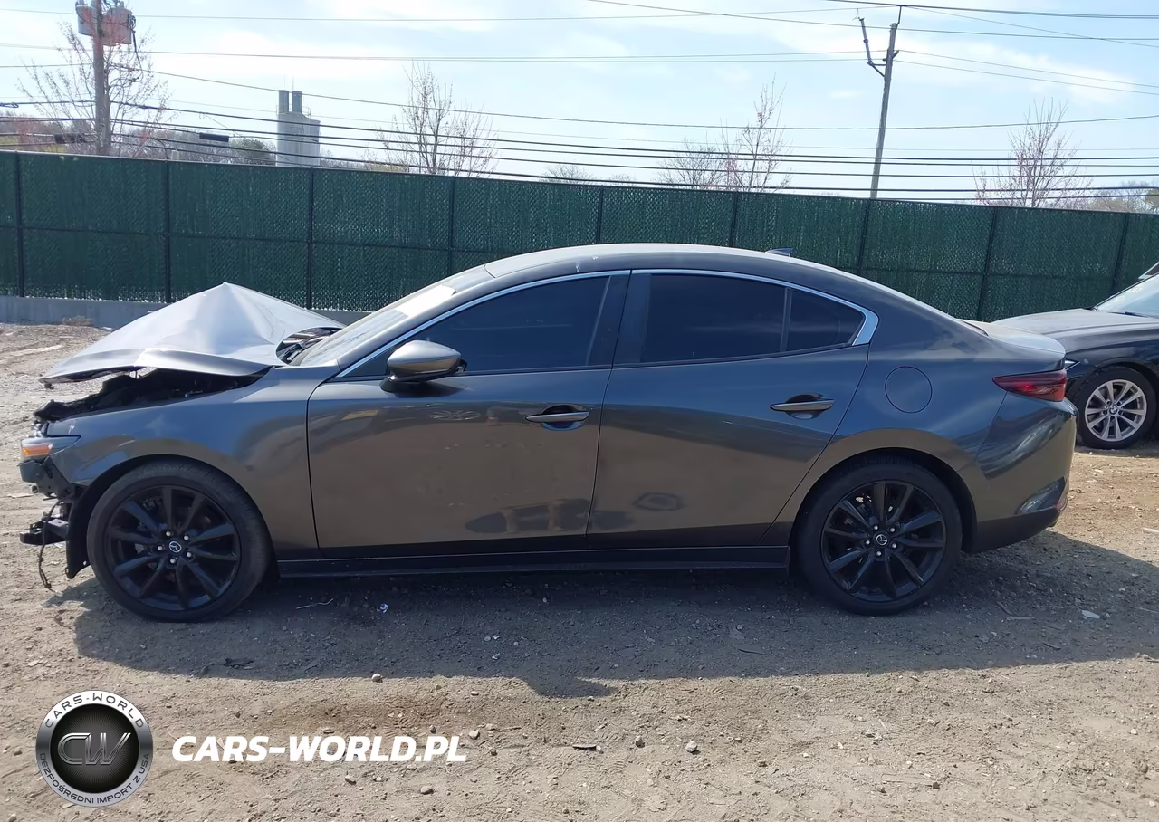 2019 Mazda Mazda3 Preferred Package VIN:JM1BPBDMXK1132189 - 15