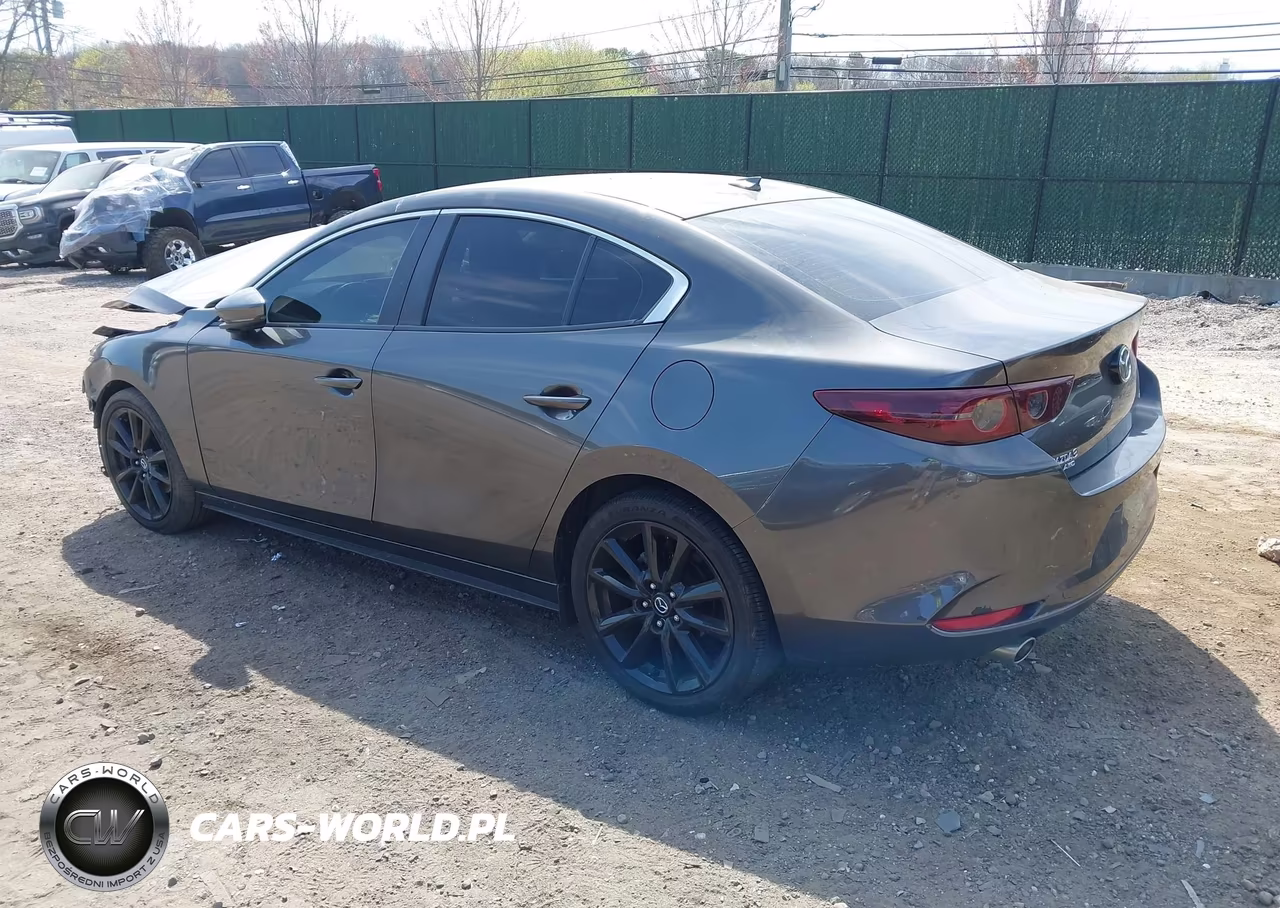 2019 Mazda Mazda3 Preferred Package VIN:JM1BPBDMXK1132189 - 3