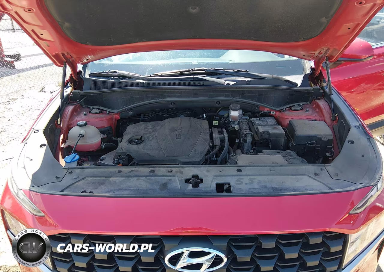2021 Hyundai Santa Fe Se VIN:5NMS14AJXMH323904 - 10