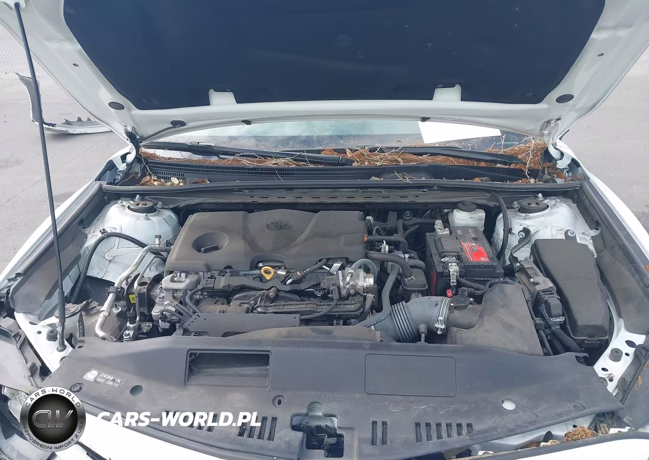 2023 Toyota Camry Se VIN:4T1G11AK9PU809559 - 10