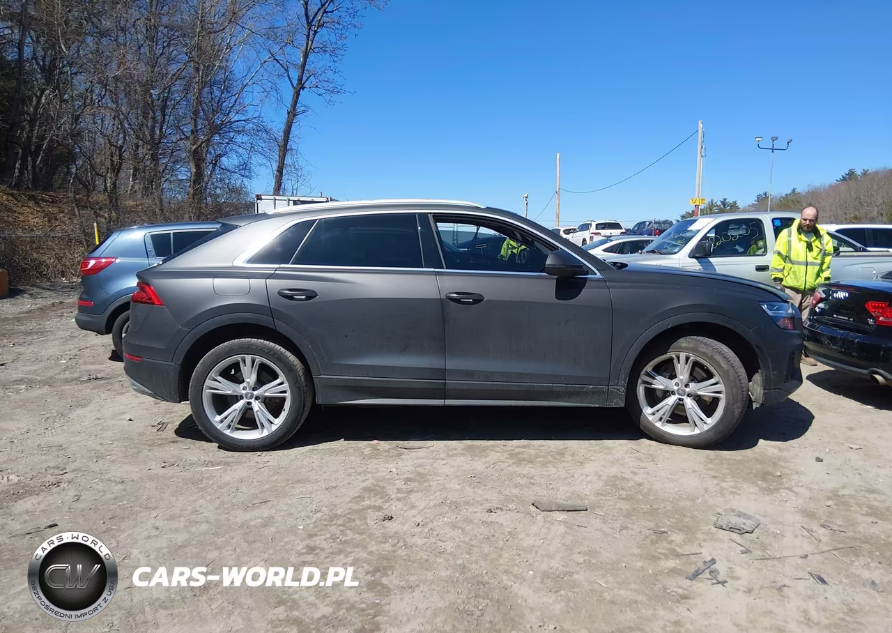 2019 Audi Q8 55 Premium VIN:WA1BVAF16KD007265 - 13