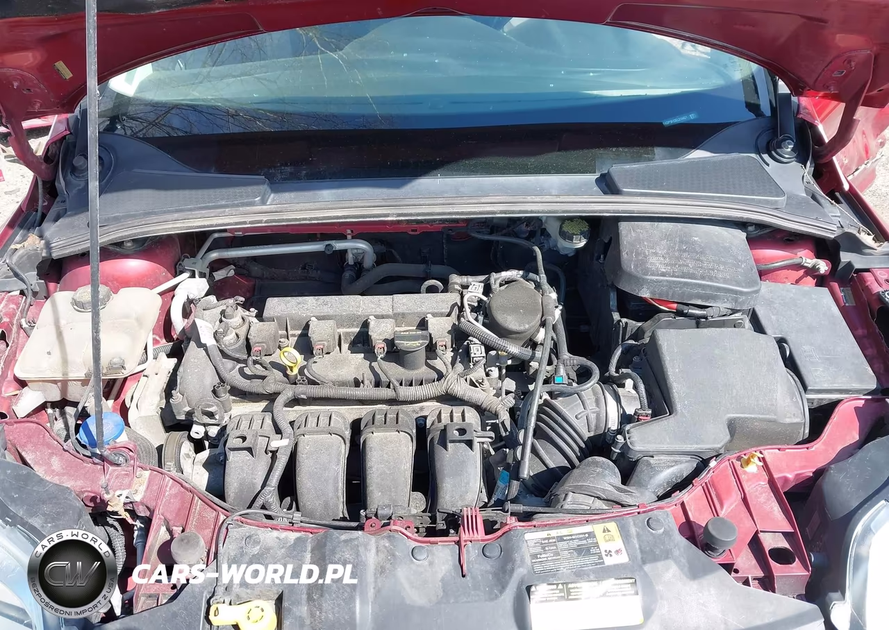2014 Ford Focus Se VIN:1FADP3F23EL214421 - 10