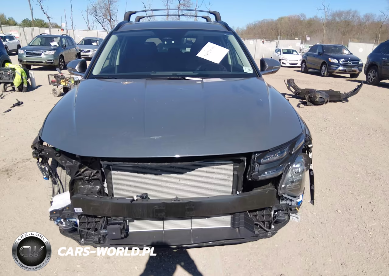 2025 Hyundai Tucson Sel Convenience VIN:5NMJCCDE8SH566512 - 12