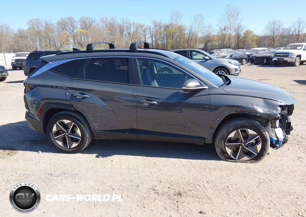 2025 Hyundai Tucson Sel Convenience VIN:5NMJCCDE8SH566512 - 13