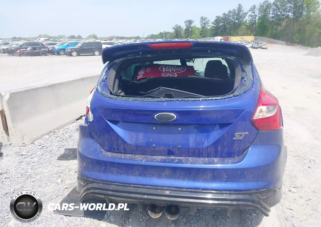 2013 Ford Focus St VIN:1FADP3L99DL294159 - 15