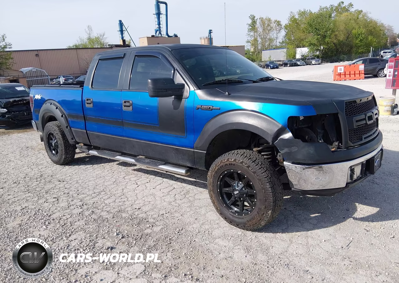 2009 Ford F-150 Xl-Xlt