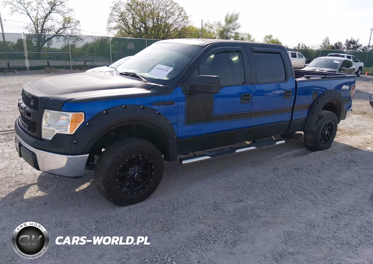 2009 Ford F-150 Xl-Xlt VIN:1FTRW12889FA94623 - 2