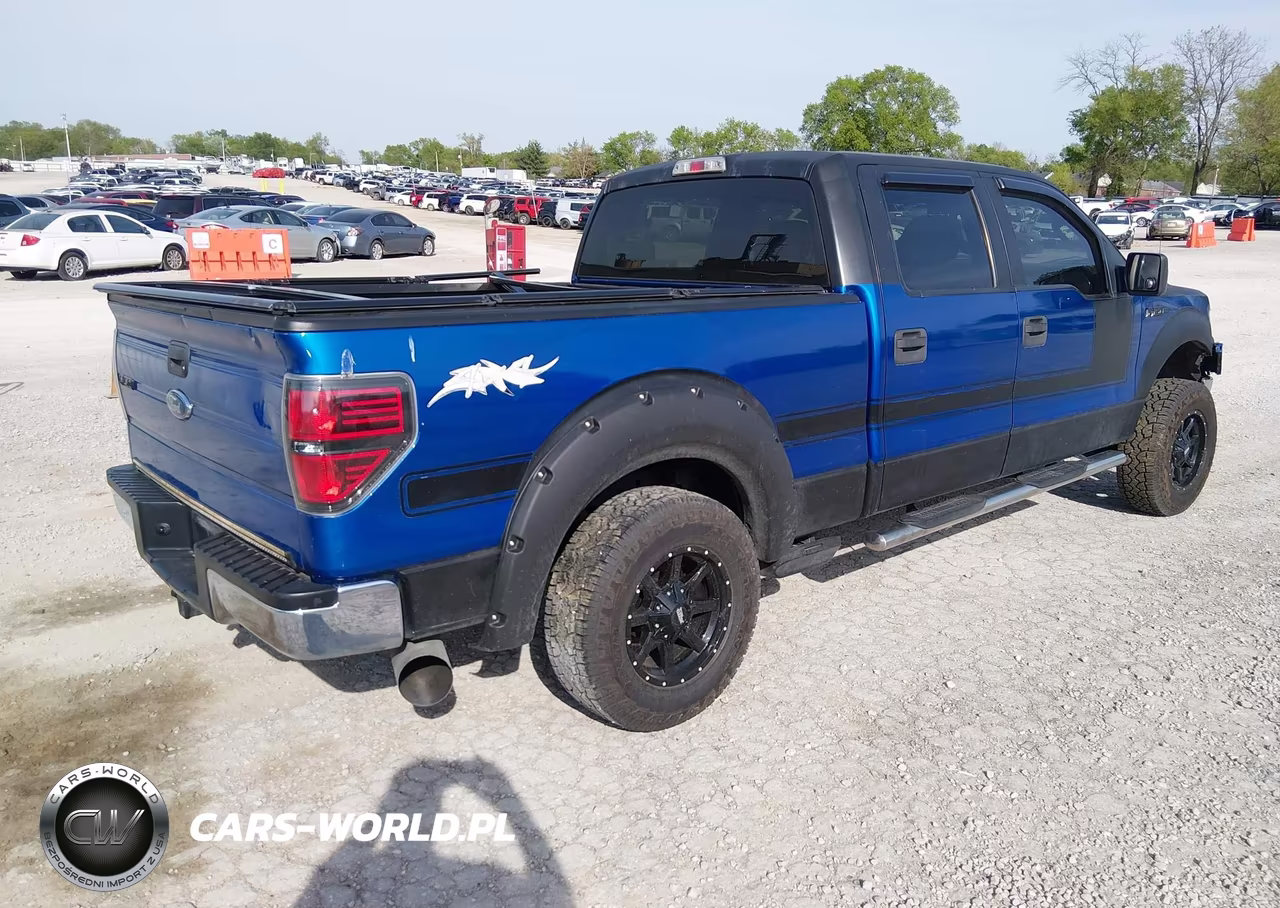 2009 Ford F-150 Xl-Xlt VIN:1FTRW12889FA94623 - 4