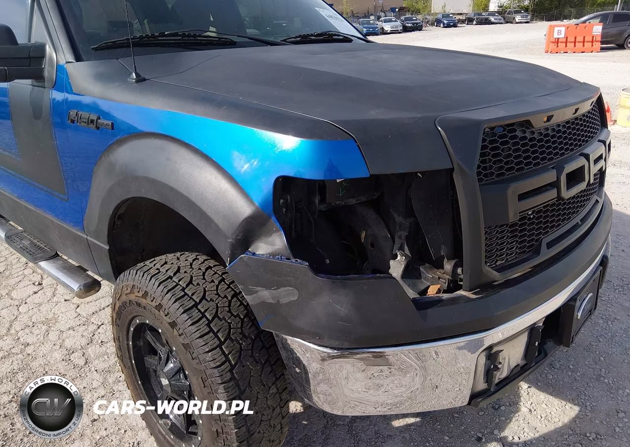 2009 Ford F-150 Xl-Xlt VIN:1FTRW12889FA94623 - 6