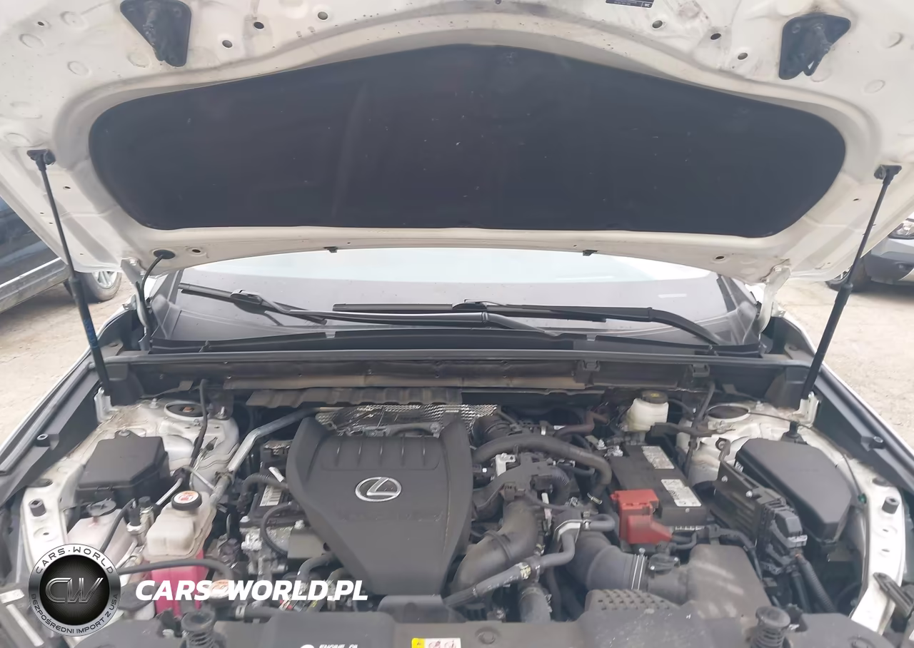 2025 Lexus Nx 350 Premium VIN:2T2GGCEZ2SC062734 - 10
